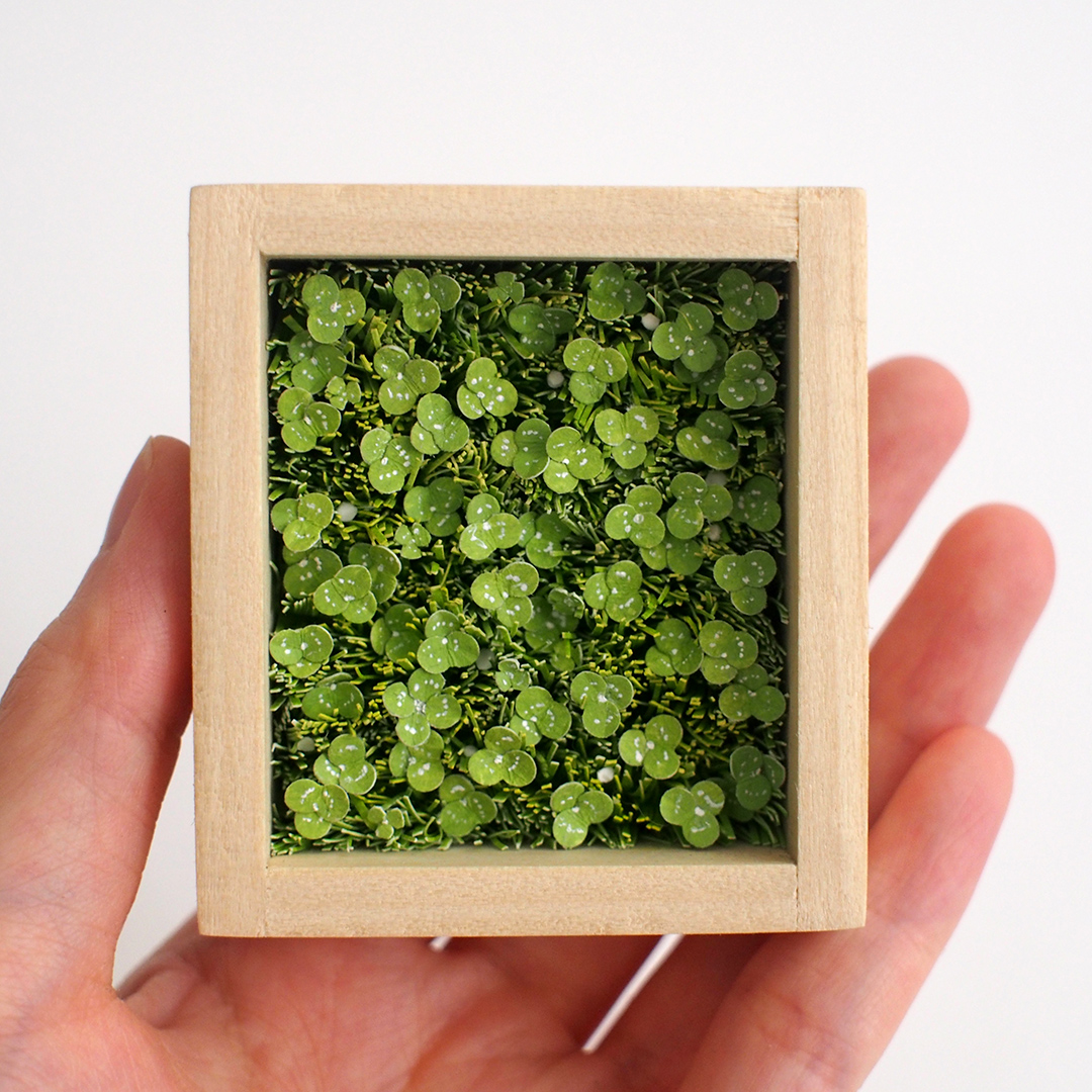 Clovers Shadow box illustration by Miki Sato